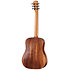 BT Koa Baby Taylor Koa + Housse Taylor