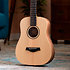 BT1e Baby Taylor Walnut + Housse Taylor