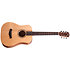 BT1e Baby Taylor Walnut + Housse Taylor