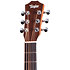 BT1e Baby Taylor Walnut + Housse Taylor