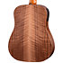 BT1e Baby Taylor Walnut + Housse Taylor