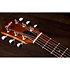 GS Mini Sapele + Housse Taylor