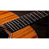 GS Mini Mahogany + Housse Taylor