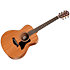 GS Mini Mahogany + Housse Taylor