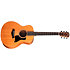 GS Mini-e Mahogany + Housse Taylor