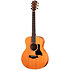 GS Mini-e Mahogany + Housse Taylor