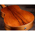 GS Mini-e Koa + Housse Taylor