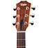 GS Mini-e Koa + Housse Taylor