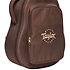 GS Mini-e Rosewood Plus + Etui Taylor