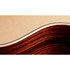 GS Mini-e Rosewood Plus + Etui Taylor