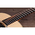 GS Mini-e Rosewood Plus + Etui Taylor