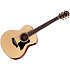 GS Mini-e Rosewood Plus + Etui Taylor