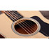 GS Mini-e Rosewood Plus + Etui Taylor