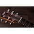 GS Mini-e Rosewood Plus + Etui Taylor