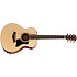 GS Mini-e Rosewood Plus + Etui Taylor