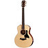 GS Mini-e Rosewood Plus + Etui Taylor