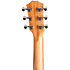 GS Mini-e Rosewood Plus + Etui Taylor