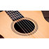 Academy 12e-N + Housse Taylor