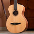 Academy 12e-N + Housse Taylor