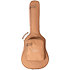 110ce + Housse Taylor