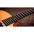 110ce + Housse Taylor