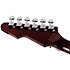 E-1 Electro Resin Floyd Rose Sustainiac Gloss Natural Schecter