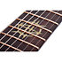 Synyster Gates Custom-7 TR Headless Oak Green Metallic Schecter