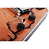 V-1 Electro-Resin Gloss Natural Schecter