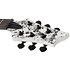 C-1 Ink Bomb Schecter
