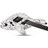 C-1 Ink Bomb Schecter