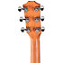 210ce + Housse Taylor