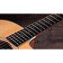 210ce + Housse Taylor