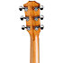 212ce + Housse Taylor