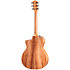 214ce-K + Housse Taylor