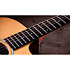 210ce Plus + Housse Taylor