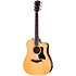 210ce Plus + Housse Taylor