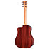 210ce Plus + Housse Taylor