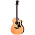 214ce Plus + Housse Taylor