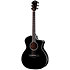 214ce-Black Plus + Housse Taylor