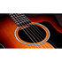 214ce-K SB Plus + Housse Taylor