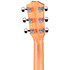 214ce-K SB Plus + Housse Taylor