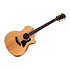 214ce-K DLX + Etui Taylor