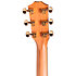 222ce-K DLX + Etui Taylor