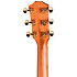 224ce-K DLX + Etui Taylor