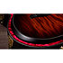 Builder's Edition 324ce + Etui Taylor