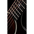 Builder's Edition 324ce + Etui Taylor