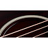 Builder's Edition 324ce + Etui Taylor