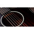 Builder's Edition 324ce + Etui Taylor
