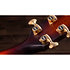 Builder's Edition 324ce + Etui Taylor