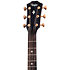 Builder's Edition 324ce + Etui Taylor